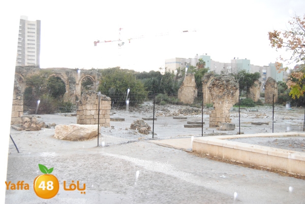 ice ramla 1213 (5).JPG